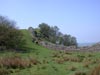 Hadrian's Wall at Walltown Crag