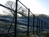 Frosty field seen through iron fence