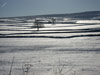 A winter wasteland