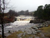 Low force in the Teesdale Valley